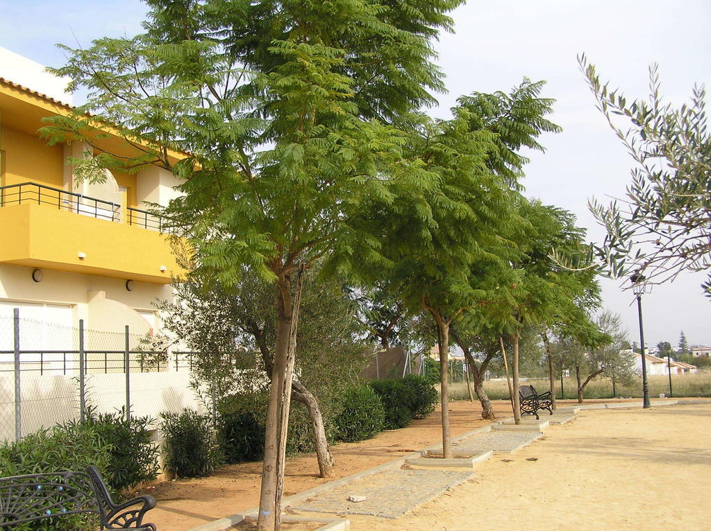 Apartamentos Turisticos Los Girasoles Espartinas Esterno foto
